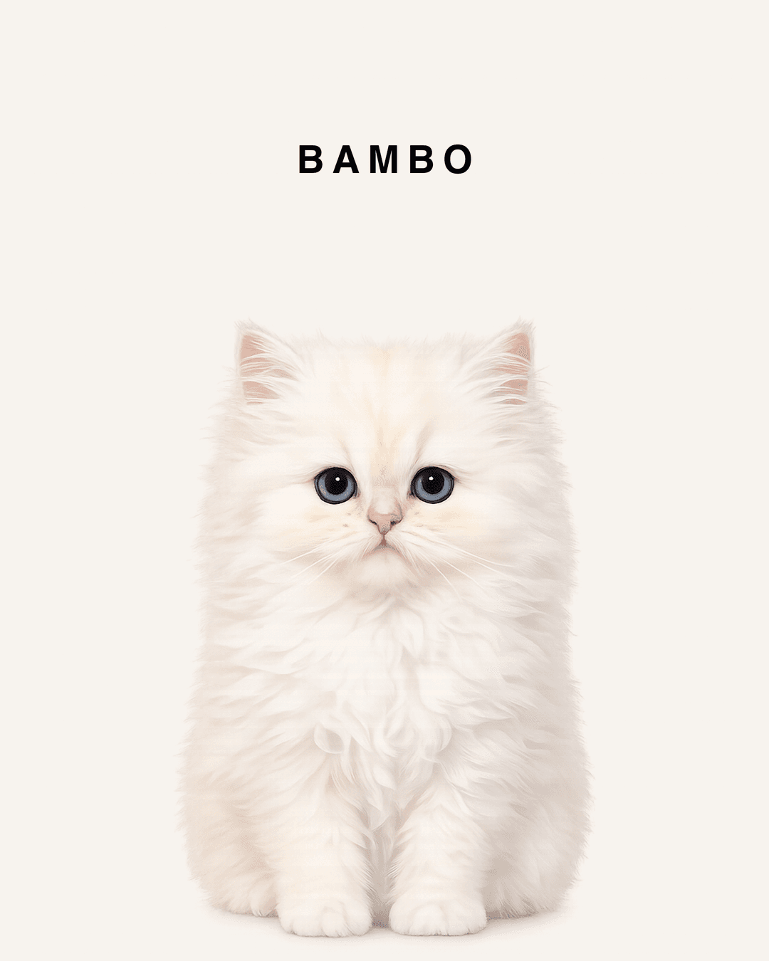 Bambo portrait