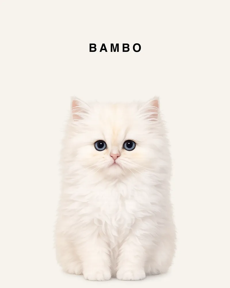 Bambo — pet portrait