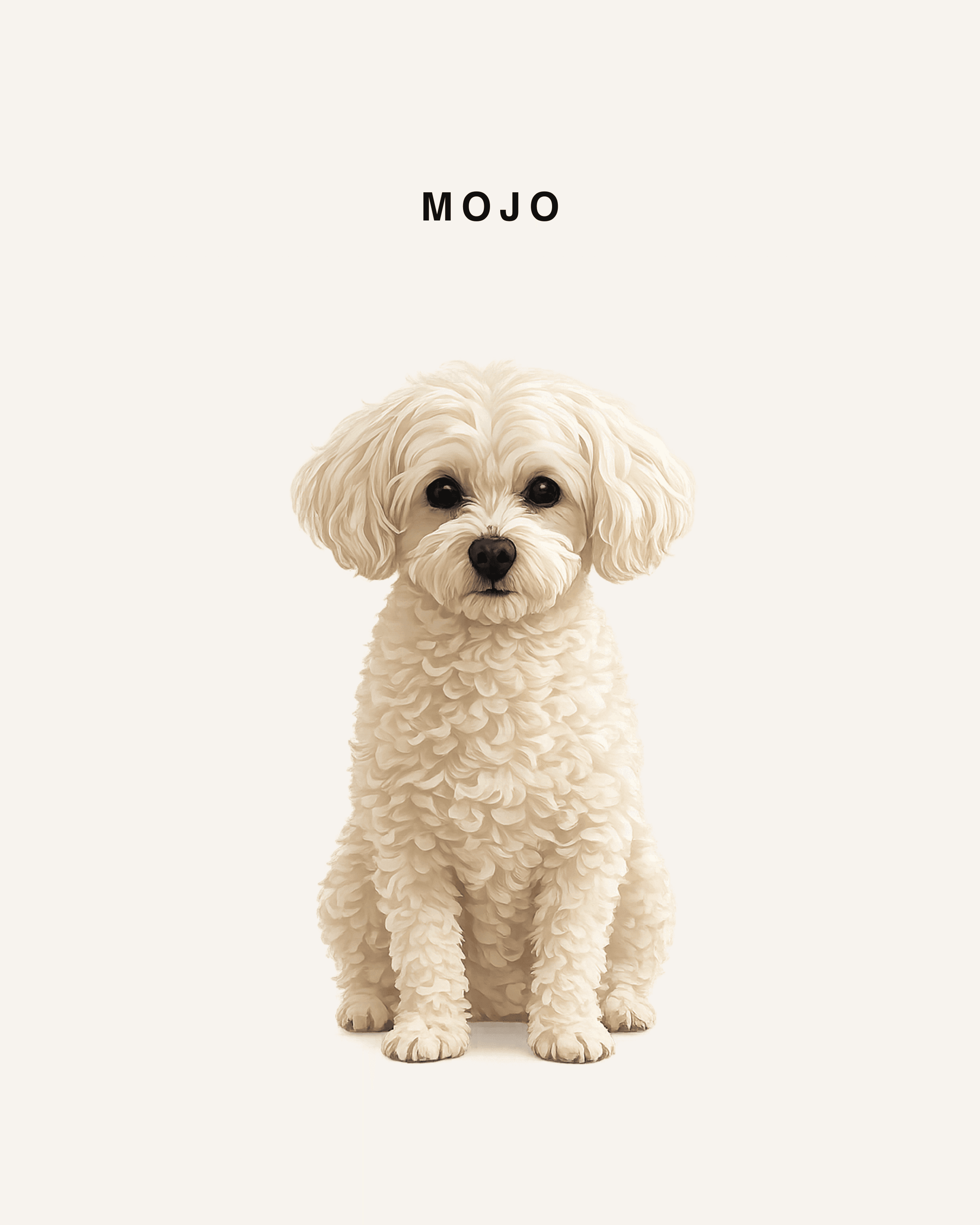 Mojo portrait