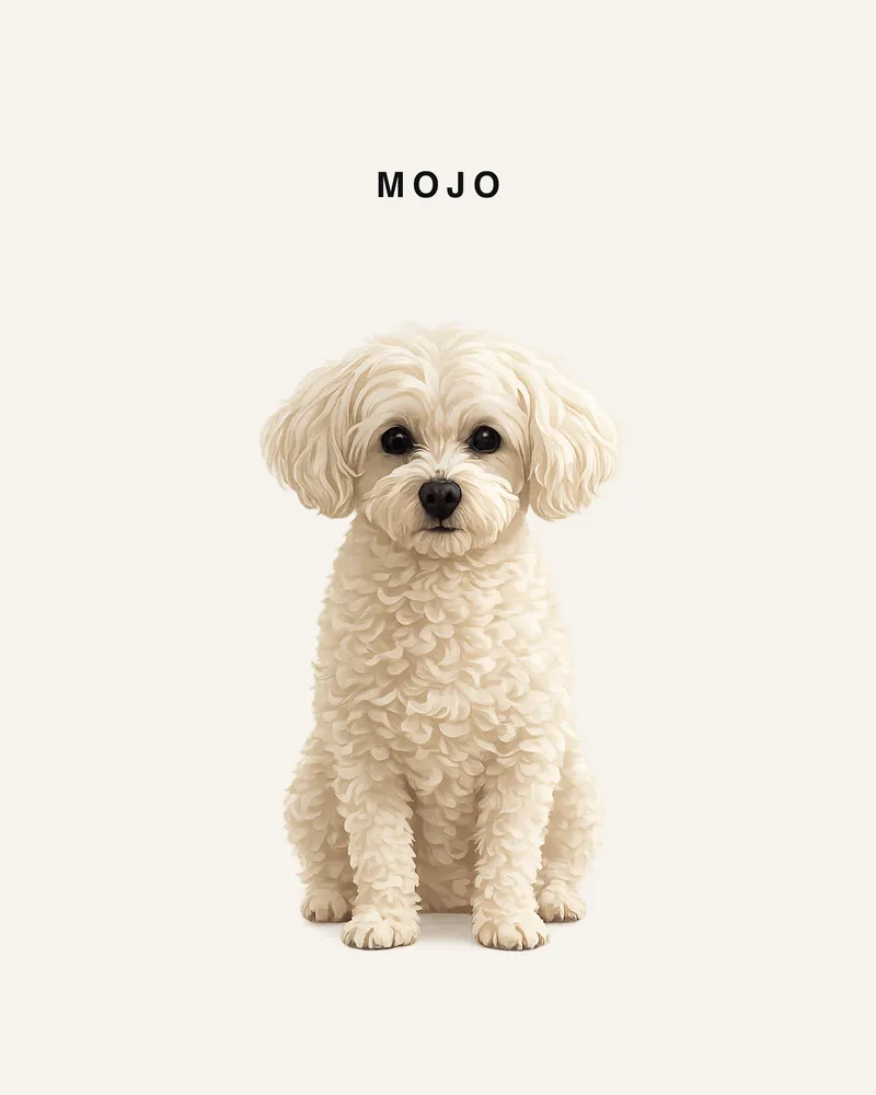 Mojo — pet portrait