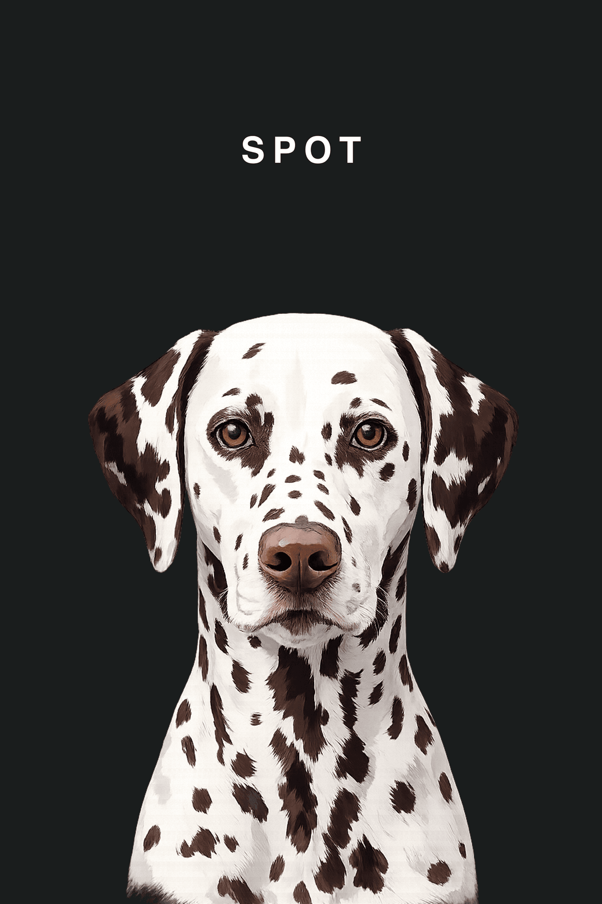 Portrait preview