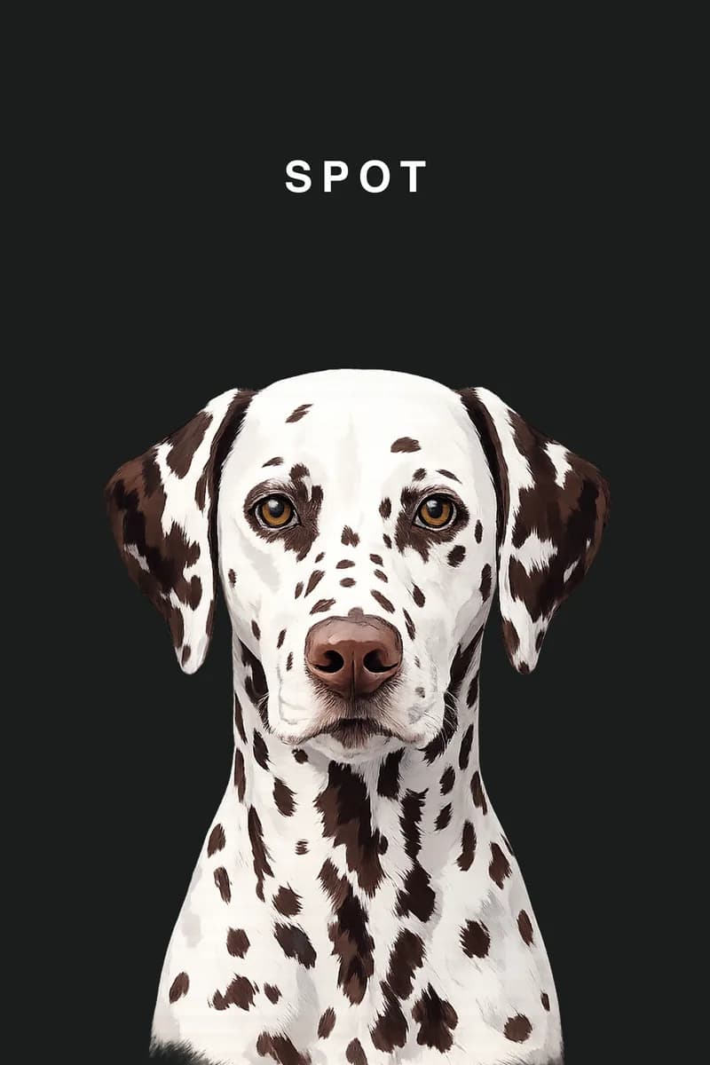 Spot - Dark Charcoal — pet portrait