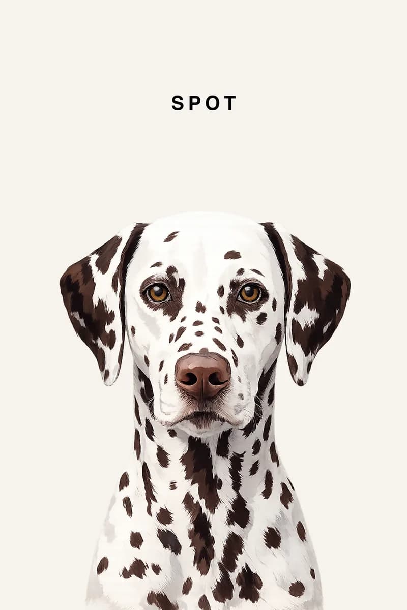 Spot - White Smoke — pet portrait