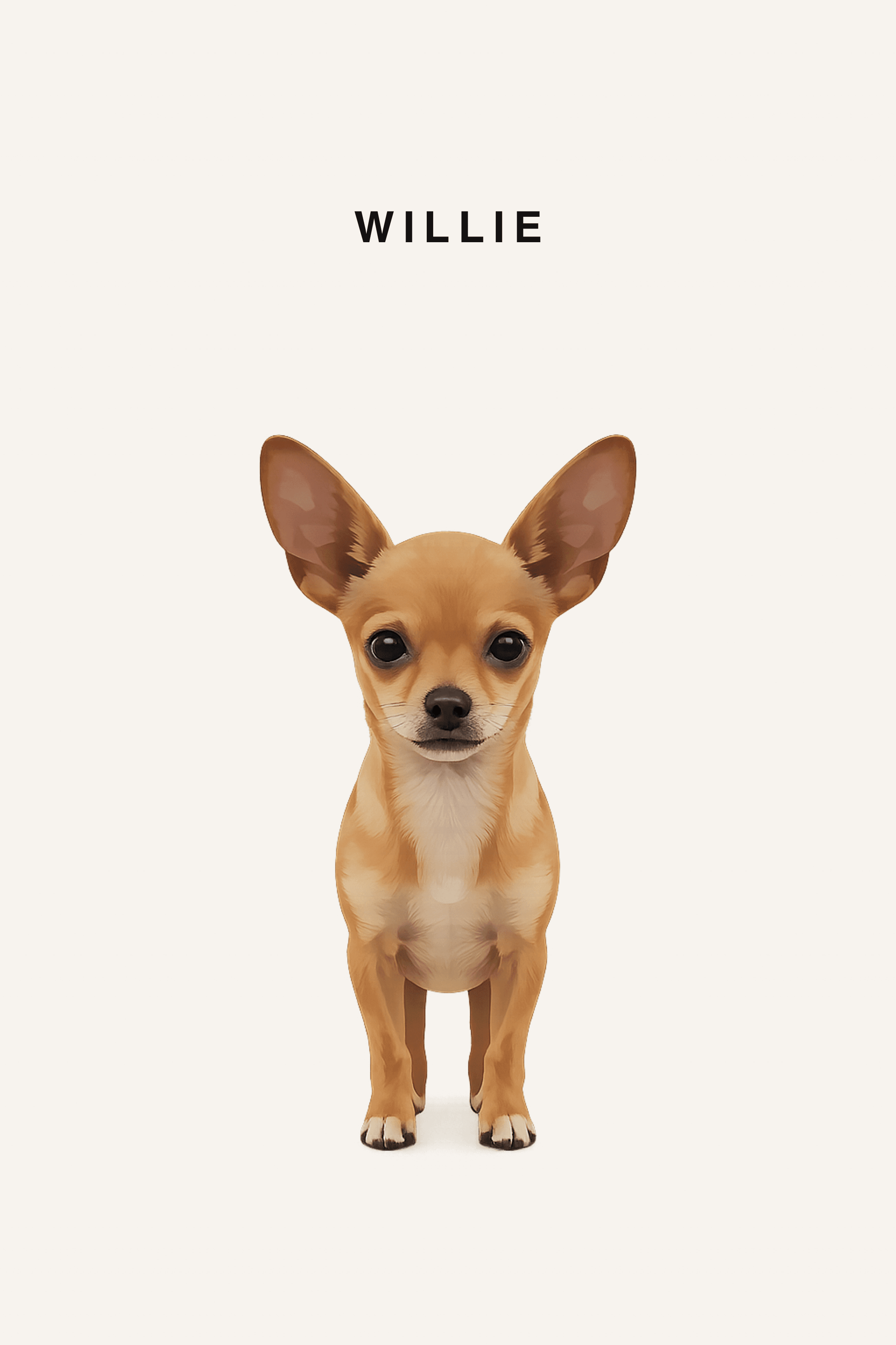 Willie portrait