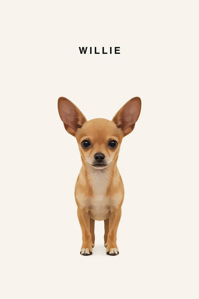 Willie — pet portrait